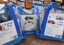 Try out a Hobby Bag at the Sloatsburg Library.